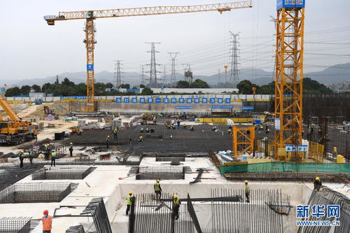 灣區(qū)潮涌千帆競 寫在 深化粵港澳合作 推進大灣區(qū)建設框架協(xié)議 簽署4周年前夕