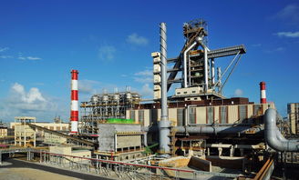 做 一帶一路 的先鋒隊和有生力量 多點開花的冶金工程建設