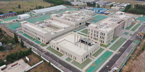 天蓬工程 收尾 世界首個大型實驗豬設施能做什么