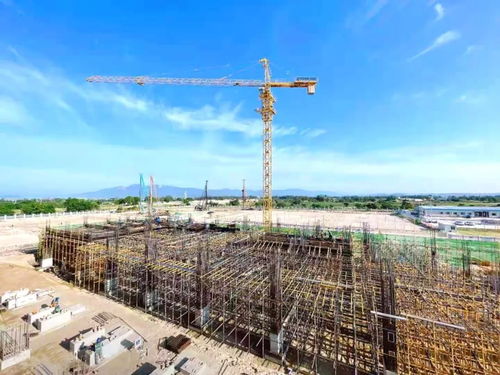 青海建設(shè)工程服務(wù)網(wǎng) 互聯(lián)網(wǎng)+工程建設(shè)驅(qū)動(dòng)產(chǎn)業(yè)轉(zhuǎn)型升級(jí)